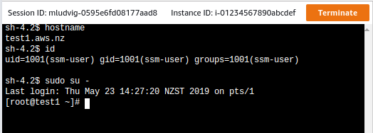 SSM Session Terminal